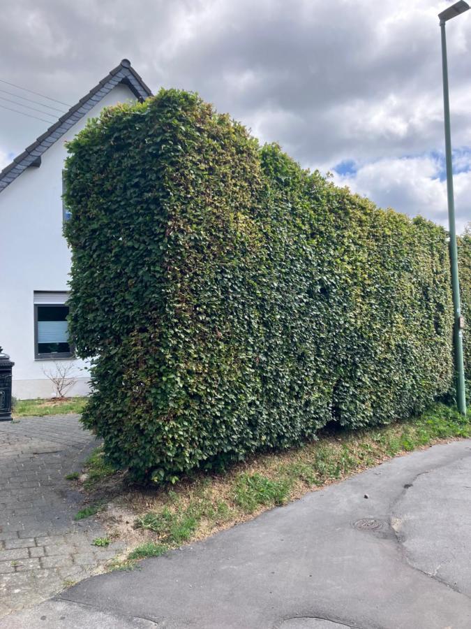 Ferienwohnung Zum Belgenbachtal Monschau Exterior foto